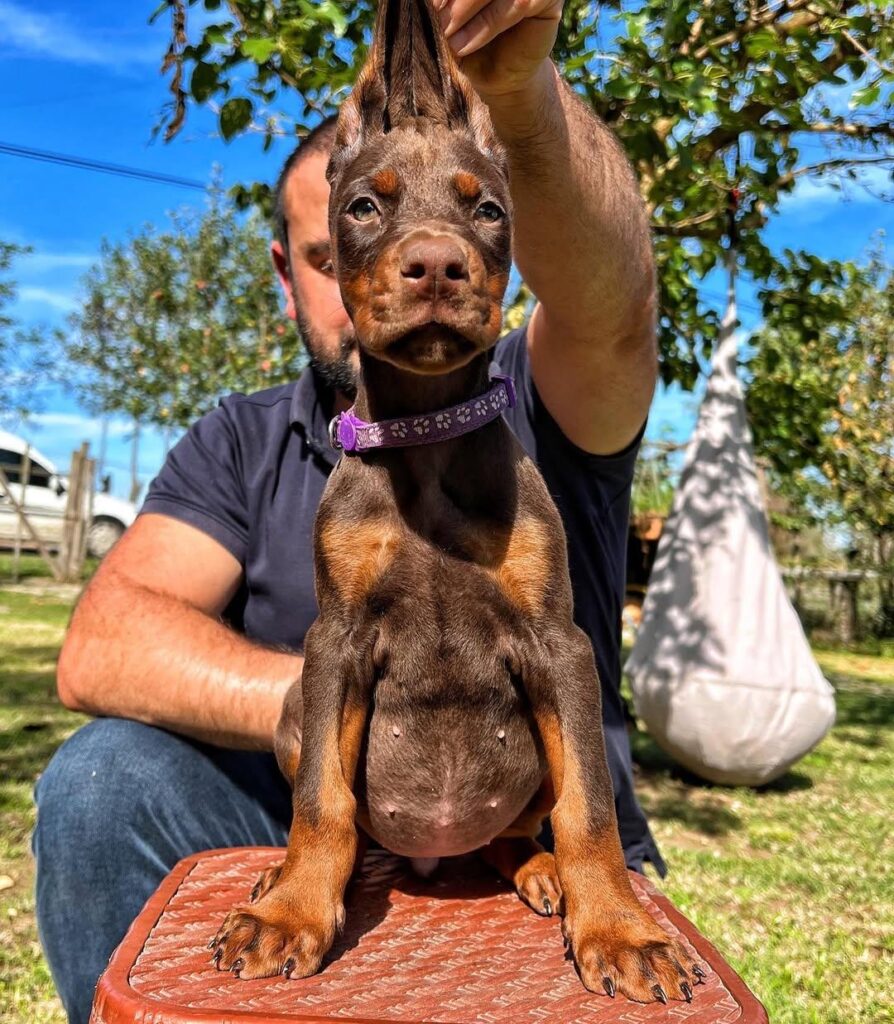 luna